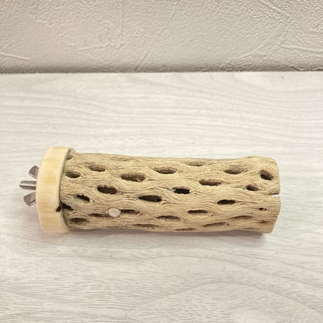 カクタスパーチ【B】 小 直径3.5cm前後 長さ10cm