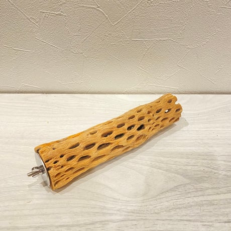 カクタスパーチ【29】直径4~5cm/長さ20cm