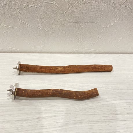 自然木（ツタ）パーチ⑤ 2本セット