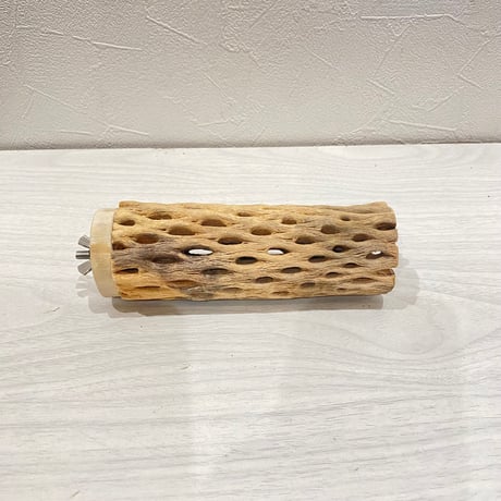 カクタスパーチ【14】直径4~5cm/長さ14cm