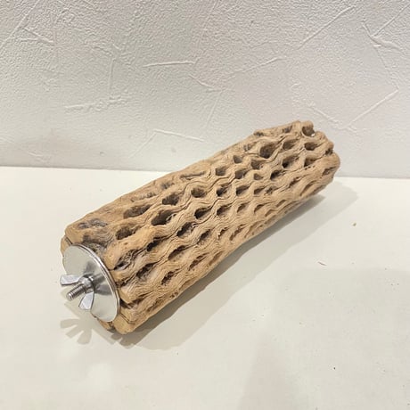 カクタスパーチ(Q) 直径約5.5cm/長さ19.5cm