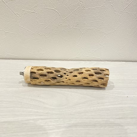 カクタスパーチ【12】 小直径3.5cm/15cm