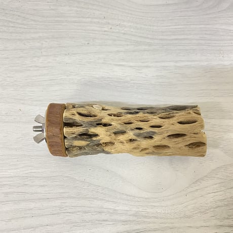 カクタスパーチ① 小サイズ 直径（約3-4cm）長さ/9.5cm