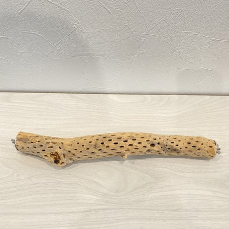 ケージサイズカクタスパーチ② 小44cm HOEI465