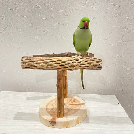 ツタとカクタスのスタンドパーチ