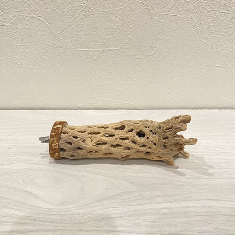 カクタスパーチ【11】  小 直径約4cm 長さ14cm