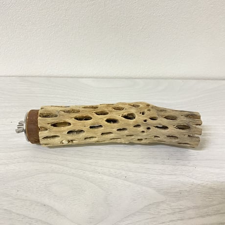 カクタスパーチ 小サイズ② 直径約3.5cm 長さ/15cm