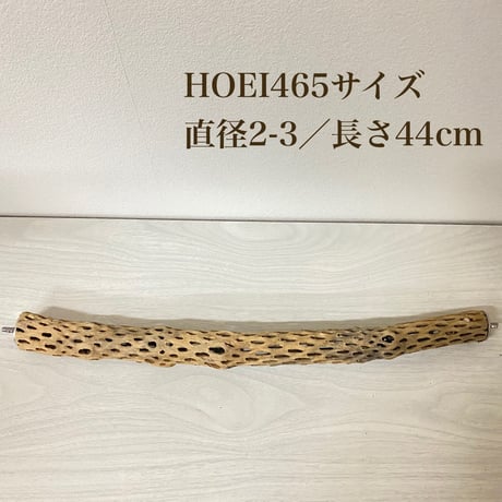 ケージサイズカクタスパーチ 極小サイズ直径2-3cm HOEI465 ⑤