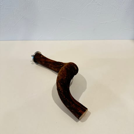 自然木（ツタ）パーチ 直径2-3cm/長さ17.5cm
