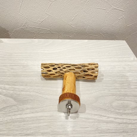 【chikutaku_2様専用】カクタスのT字パーチ 横10cm／足5cm