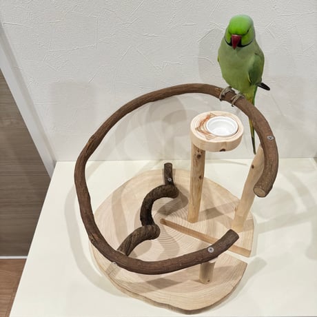 【S様専用】自然木（ツタ）のスタンドパーチ