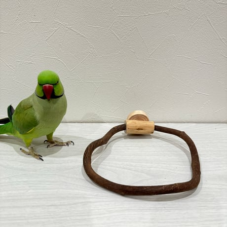 自然木（ツタ）のドーナツパーチJ【太めサイズ】