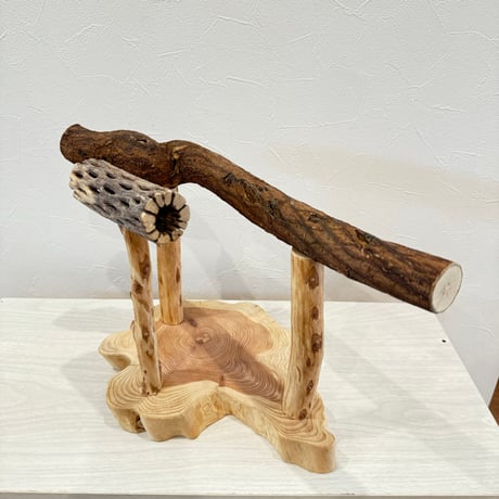 ツタとカクタスのスタンドパーチ【A】