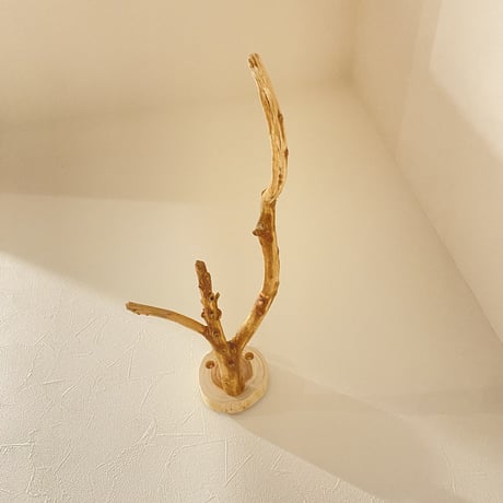 ピノキオの鼻 ③