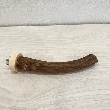 自然木（ツタ）パーチ④  直径2cm 長さ15cm