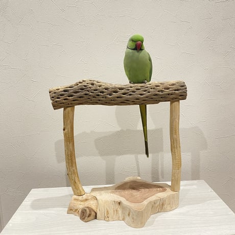 カクタスのスタンドパーチ① 大型さん用