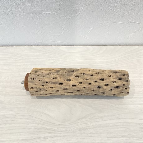 カクタスパーチ① 中サイズ直径5.5cm/19cm