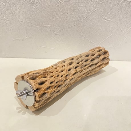 カクタスパーチ(P) 直径約5cm/長さ20cm