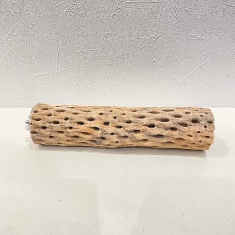カクタスパーチ⑪ 直径約5cm/長さ20cm