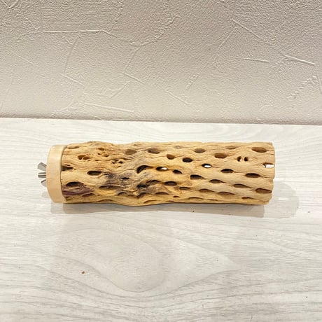 カクタスパーチ【A】直径4~5cm/長さ15cm