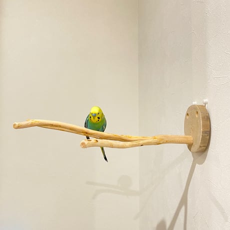 ピノキオの鼻 ⑤ 桧  小型さん用