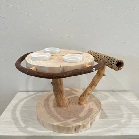 ツタとカクタス アリスのお茶会テーブル