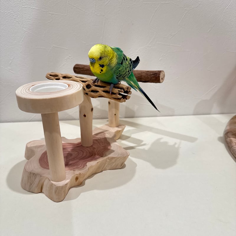 ツタとカクタスのおやつ入れ付きスタンドパーチ 【インコ 自然木