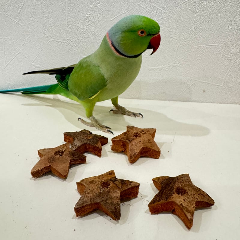 ガジガジココナッツ お星さま 5個セット【インコのおもちゃ