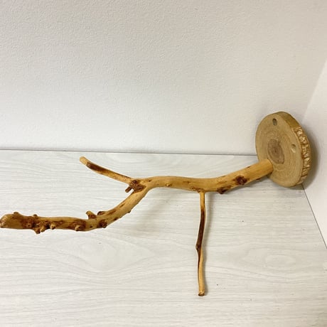 ピノキオの鼻 ⑦