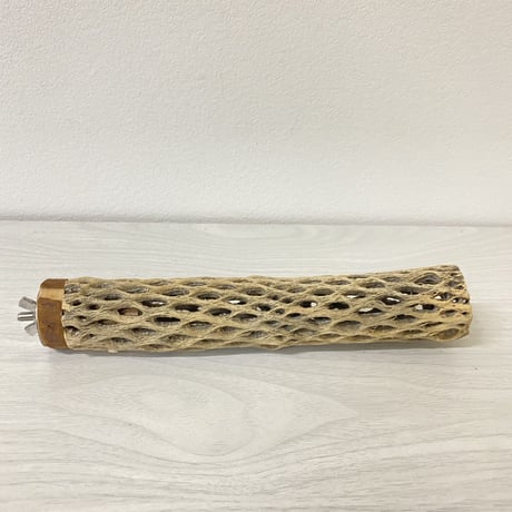 カクタスパーチ③ 小サイズ 直径（約3-4cm）長さ/20cm