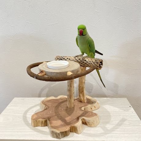 ツタとカクタス アリスのお茶会テーブル