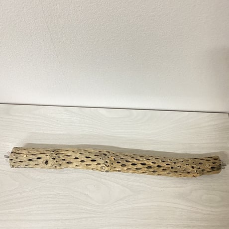 ケージサイズカクタスパーチ 小サイズ直径3-4cm HOEI465 ②