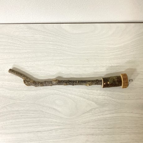 【mamii__038様専用】カクタスパーチ極小　直径2〜3cm／長さ10cm