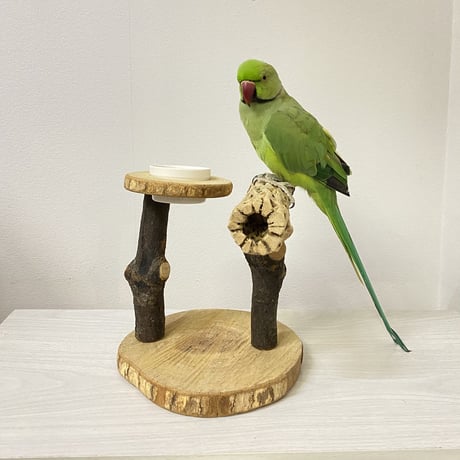 おやつ入れ付き カクタススタンドパーチ② 中型さん用
