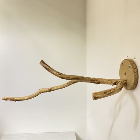 ピノキオの鼻 ⑤