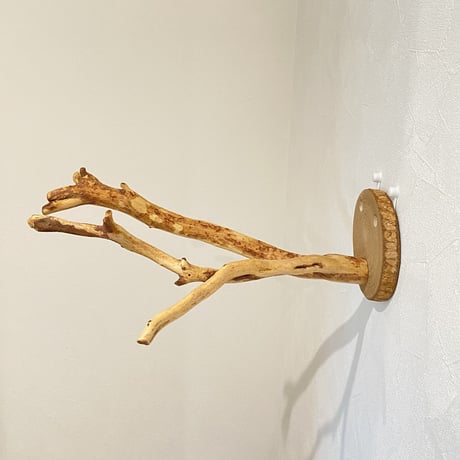 ピノキオの鼻 ①