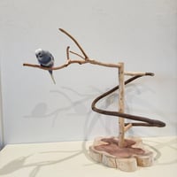 貝塚伊吹とツタのぐるぐるバードアスレチック 【自然木 とまり木 セキセイインコ・ウロコインコ】