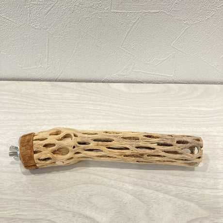 カクタスパーチ⑩  極小 直径3cm前後 長さ15cm