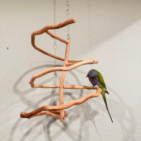 コトリのなる木　つり下げゆらゆらバードアスレチック(皮無し)【インコ・オウムのおもちゃ・自然木の止まり木】