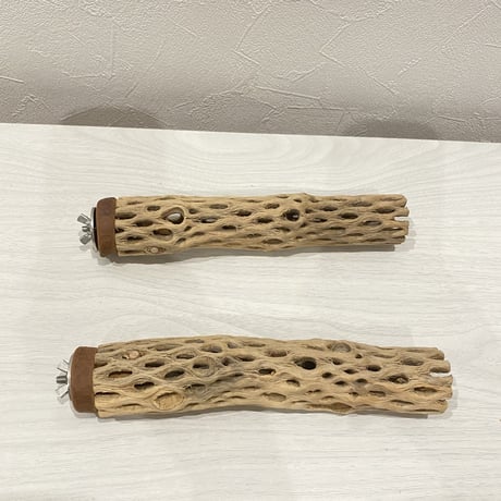 【keiko様専用】カクタスパーチ 小20cm×2