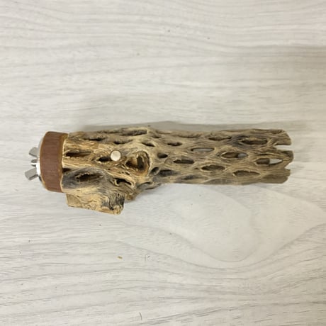 カクタスパーチ① 極小サイズ 直径（約2-3cm）長さ/12cm