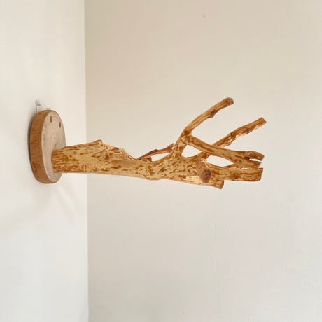 ピノキオの鼻 ④