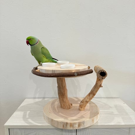 ツタとカクタス アリスのお茶会テーブル