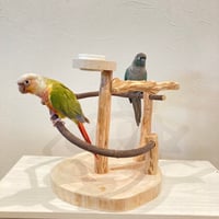 ブランコと螺旋階段のバードアスレチック【インコのおもちゃ・自然木の