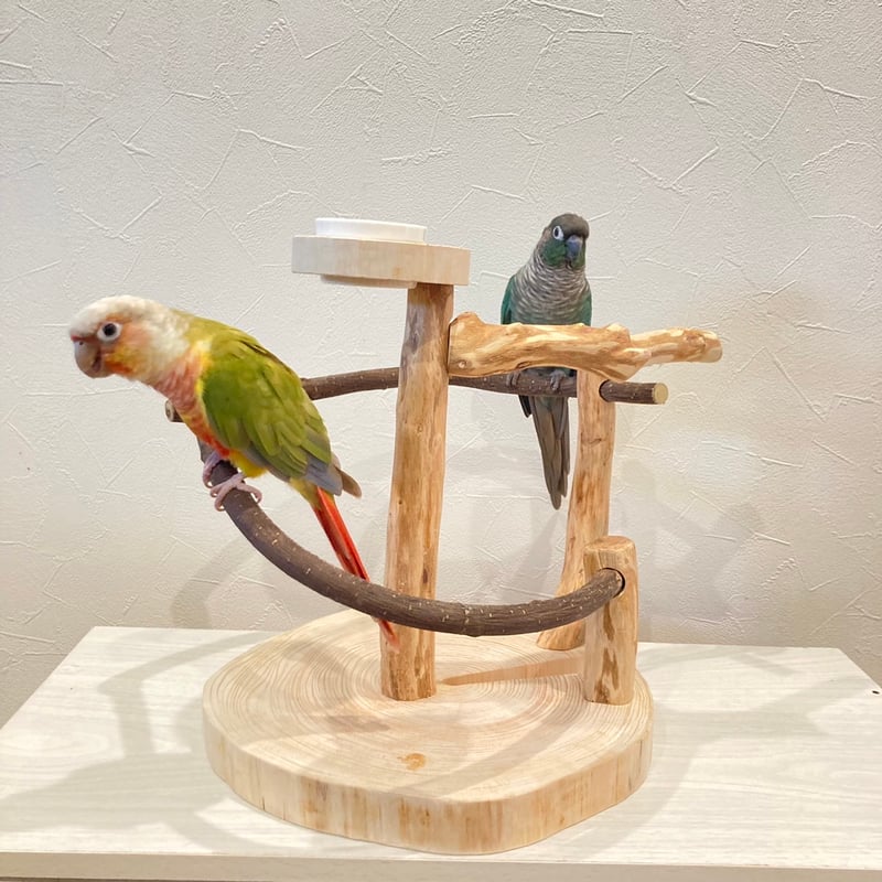 ペット 小鳥用 とまり木 螺旋階段型 バードアスレチック - 鳥用品