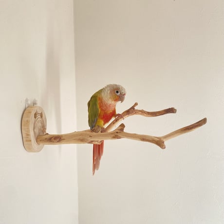 ピノキオの鼻 ②