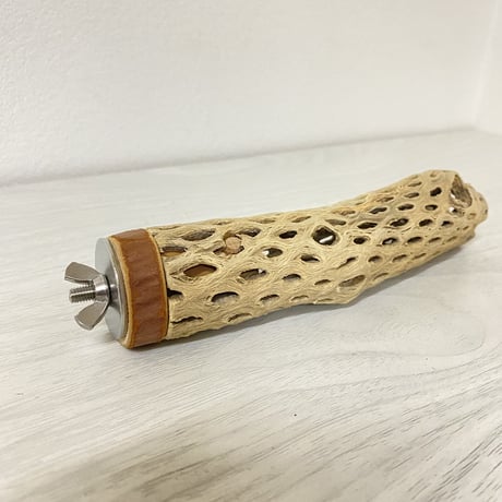 カクタスパーチ⑬ 極小サイズ 直径（約2-3cm）長さ/15cm