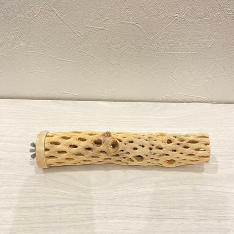 カクタスパーチ小直径3~4cm 長さ20cm ⑩