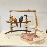 ブランコと螺旋階段のバードアスレチック【インコのおもちゃ・自然木のとまり木】