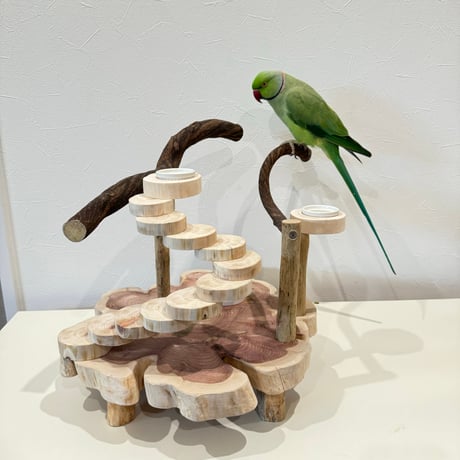 螺旋階段とツタのバードアスレチック【インコのおもちゃ・自然木のとまり木】